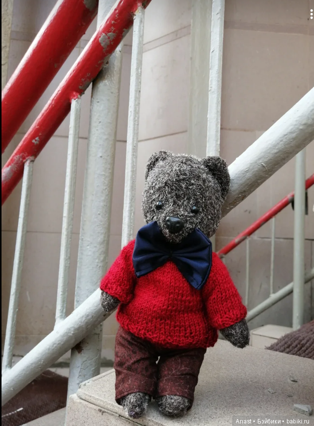 Знакомьтесь, медведь по имени Ров (фото 5)