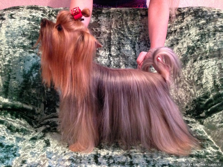 Коллекционная текстильная кукла (фото 3)