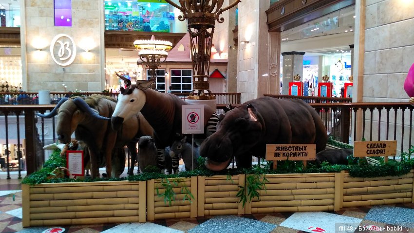Мы в Центральном Детском мире