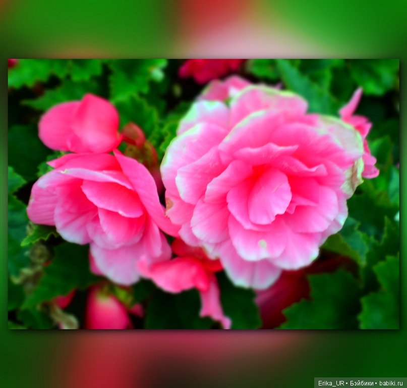 Немного о музее ВМФ в Москве (фото 4)