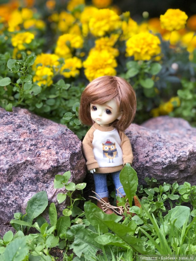 Как мы с Печенькой вчера на заливе гуляли (фото 2)