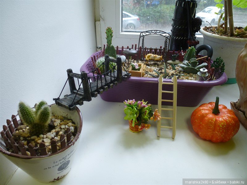 Мои огородики в миниатюре