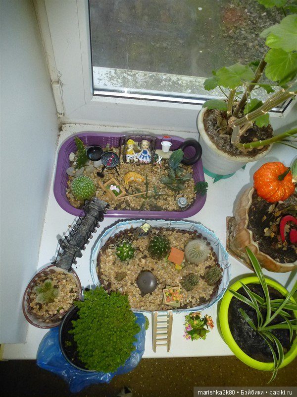 Мои огородики в миниатюре