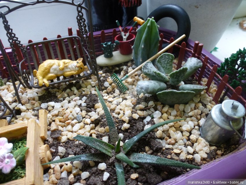 Мои огородики в миниатюре