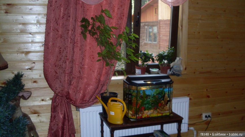 Что нам стоит дом построить