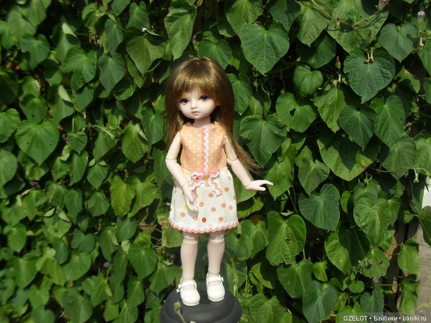 Синичкины обновки — Разные шарнирные куклы (не БЖД): редкие