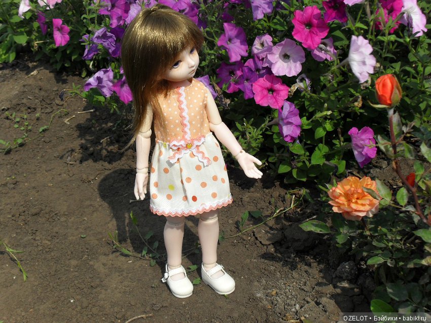 Синичкины обновки — Разные шарнирные куклы (не БЖД): редкие (фото 2)