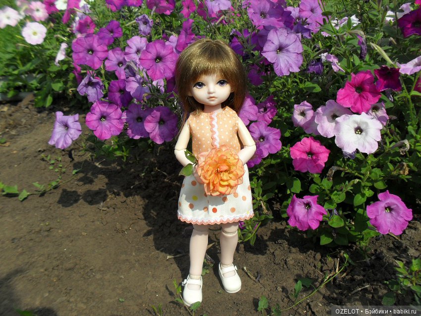 Синичкины обновки — Разные шарнирные куклы (не БЖД): редкие (фото 3)