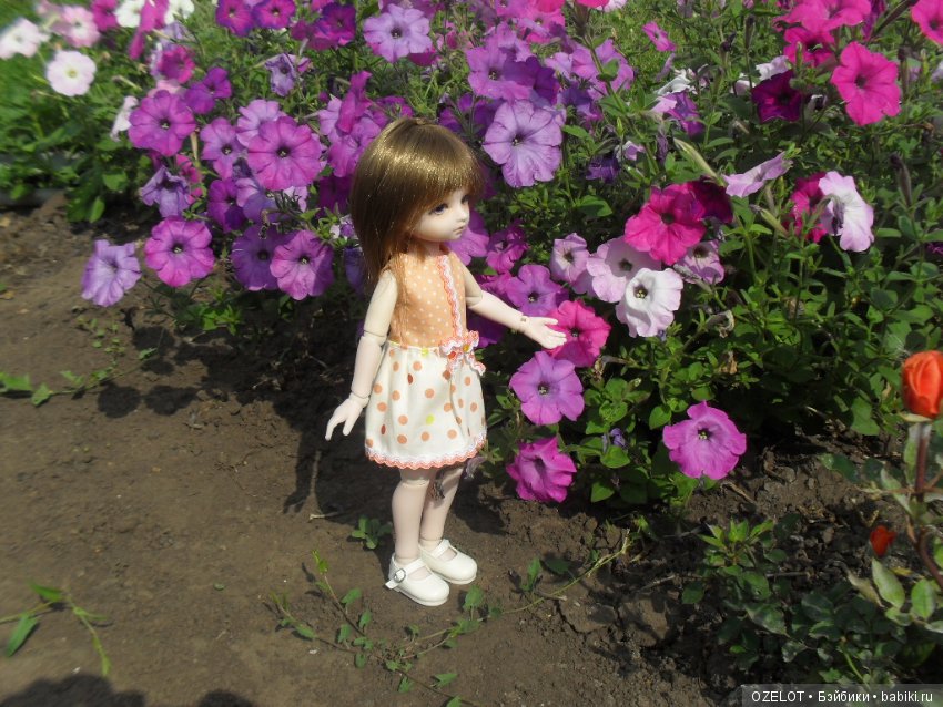 Синичкины обновки — Разные шарнирные куклы (не БЖД): редкие (фото 4)