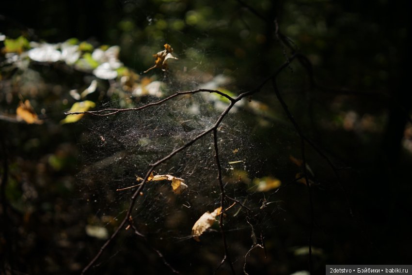 Закат лета — Коллекционные экшн (фото 7)