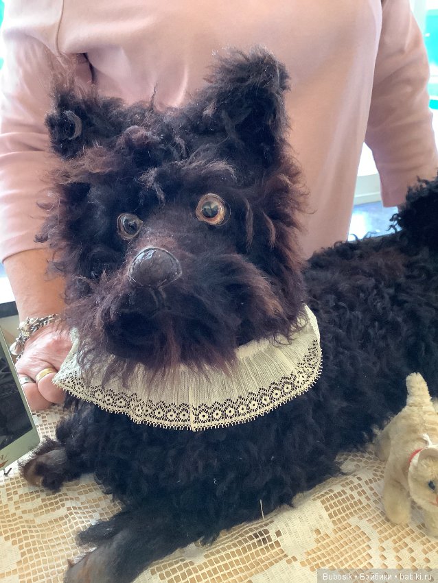 Брюгге. Бельгия 2019 . Выставка кукол и медведей. Часть 1