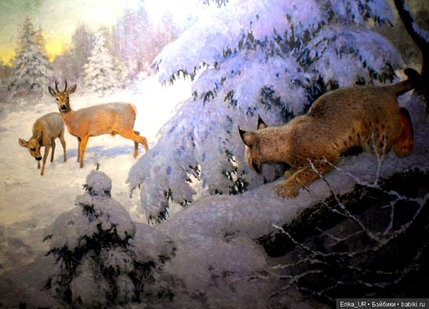 Дарвиновский музей, Москва