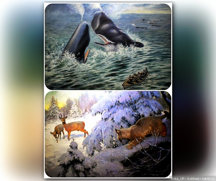 Дарвиновский музей, Москва (фото 7)