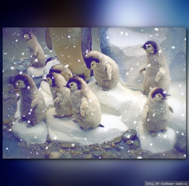 Дарвиновский музей, Москва