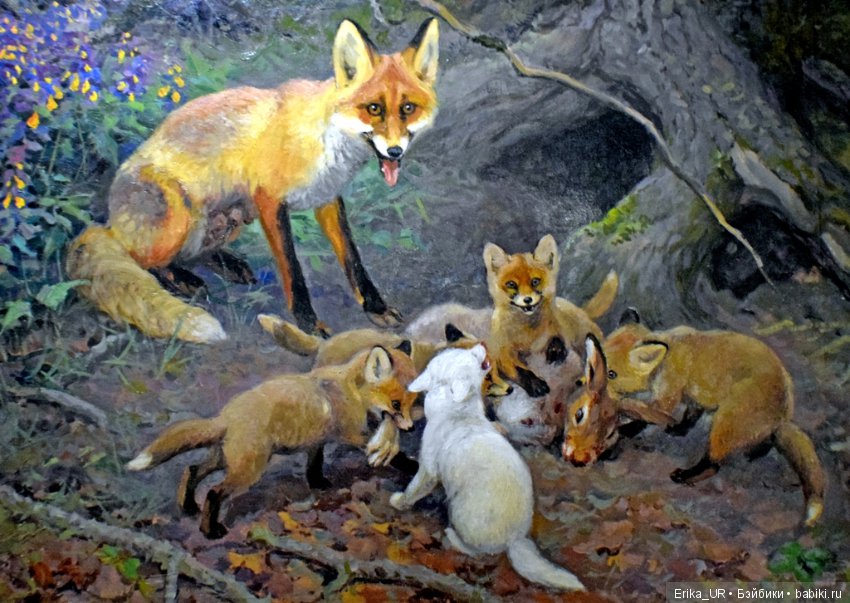 Дарвиновский музей, Москва