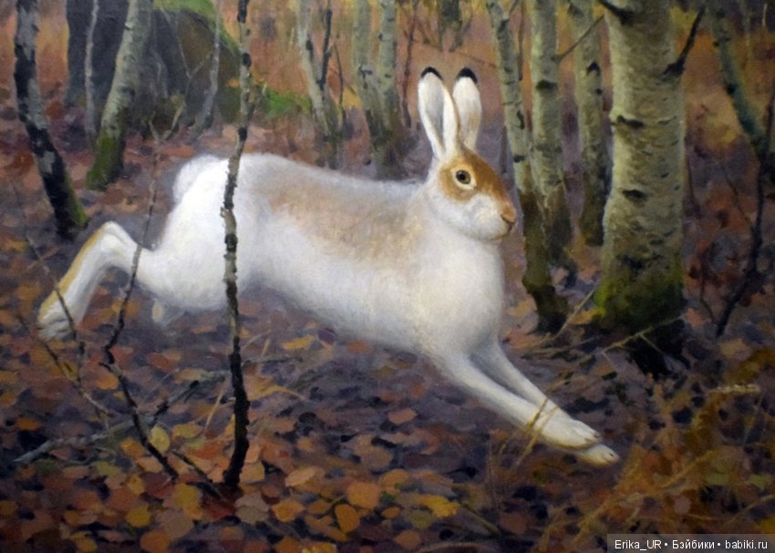 Дарвиновский музей, Москва