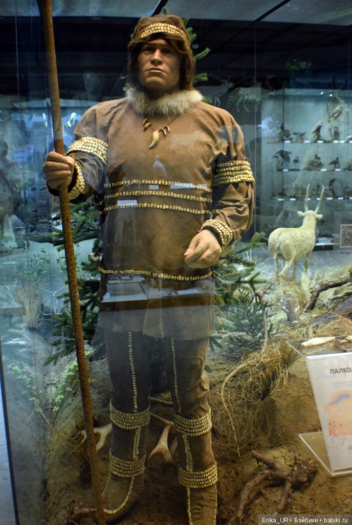 Дарвиновский музей, Москва