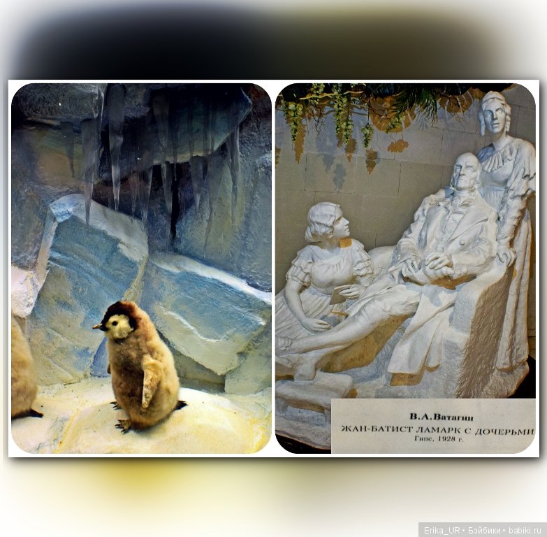 Дарвиновский музей, Москва (фото 2)