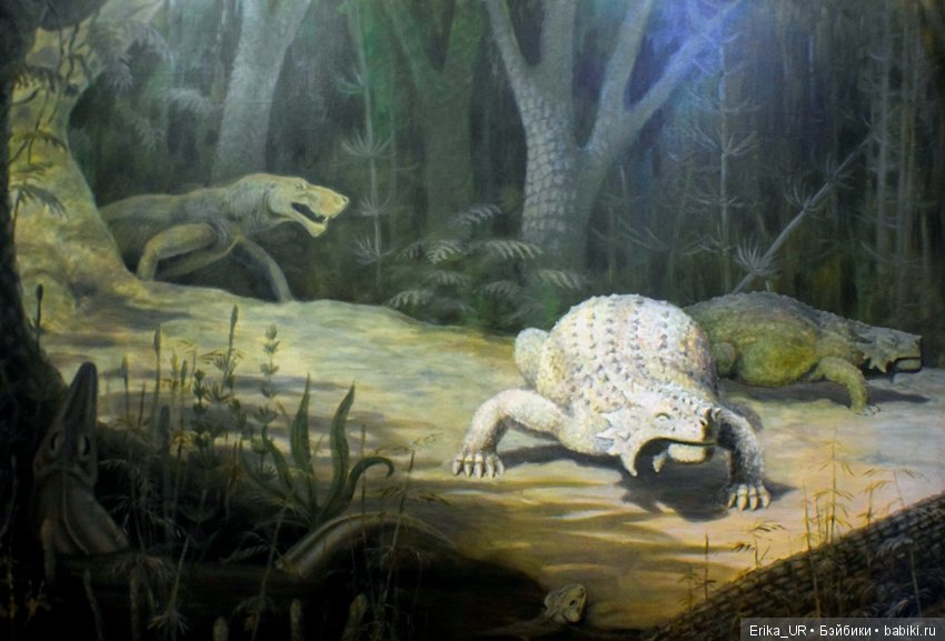 Дарвиновский музей, Москва