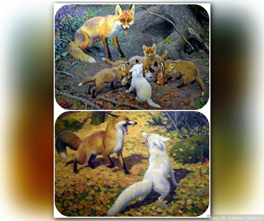 Дарвиновский музей, Москва (фото 8)