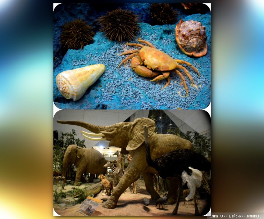 Дарвиновский музей, Москва