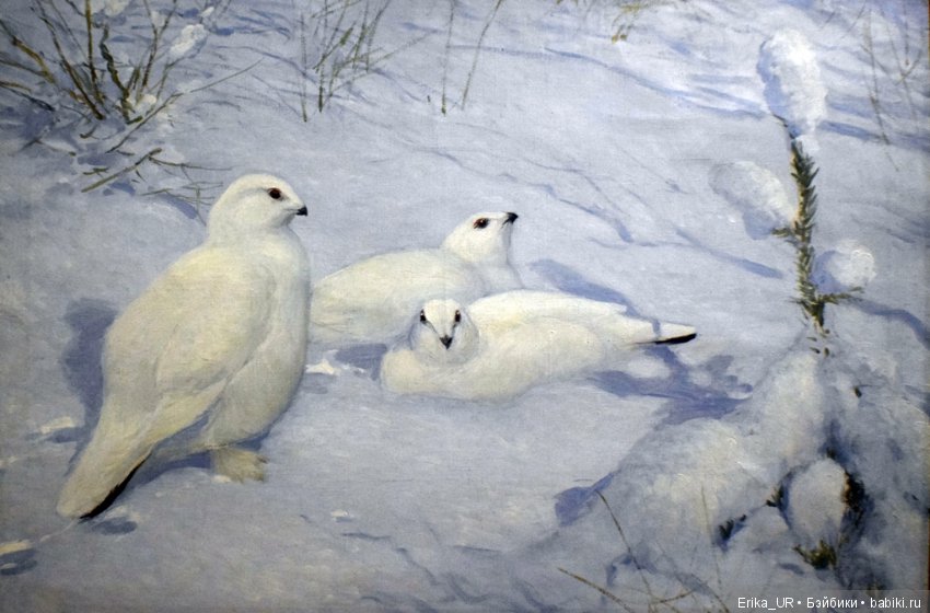 Дарвиновский музей, Москва