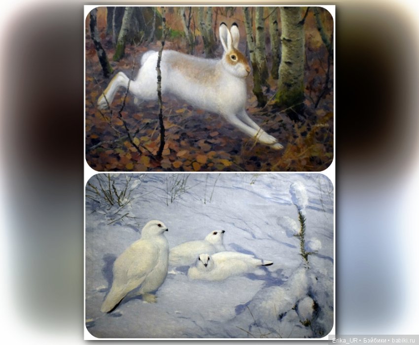 Дарвиновский музей, Москва (фото 6)