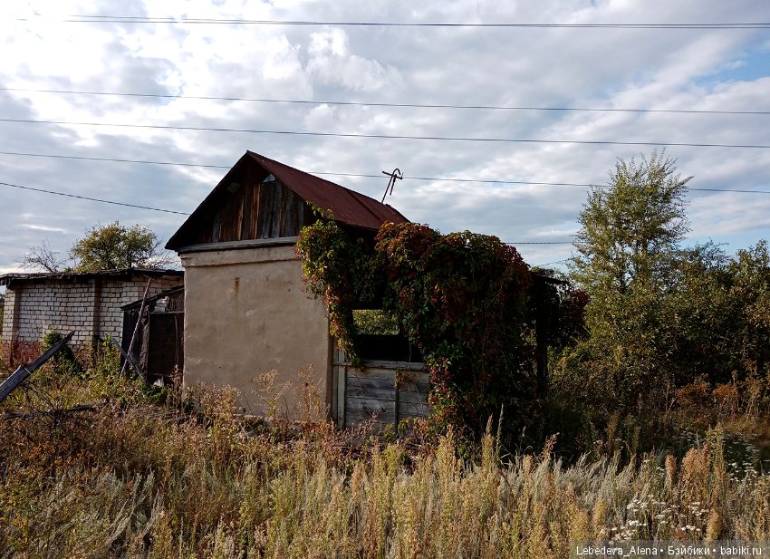 Любите ли вы заброшки — Болталка и разговоры обо всем: жизнь
