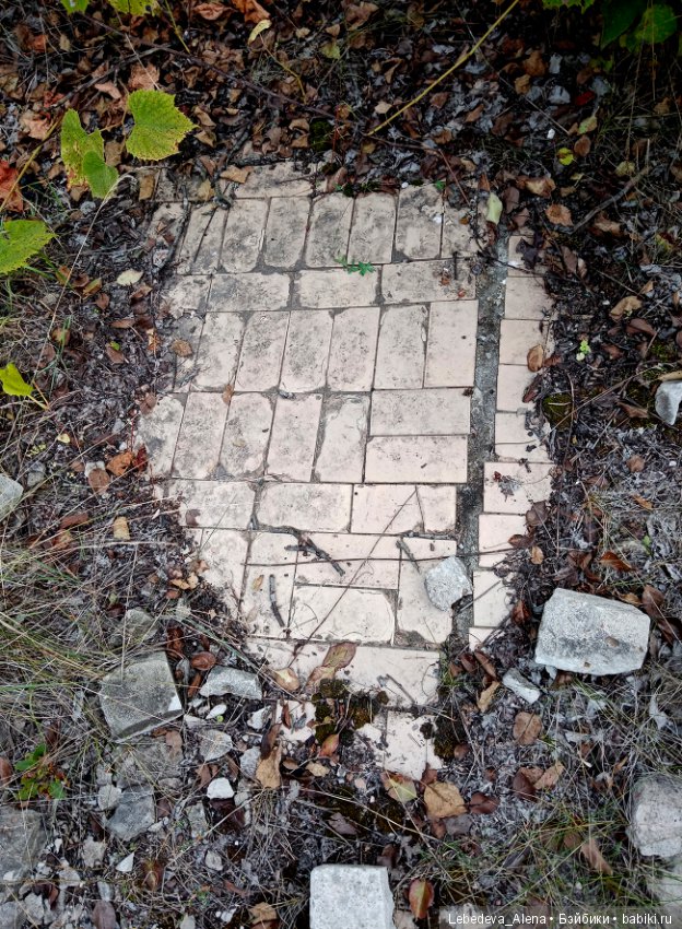 Любите ли вы заброшки — Болталка и разговоры обо всем: жизнь