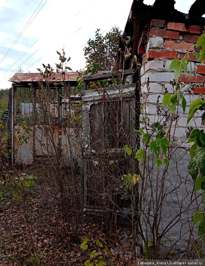 Любите ли вы заброшки — Болталка и разговоры обо всем: жизнь (фото 10)