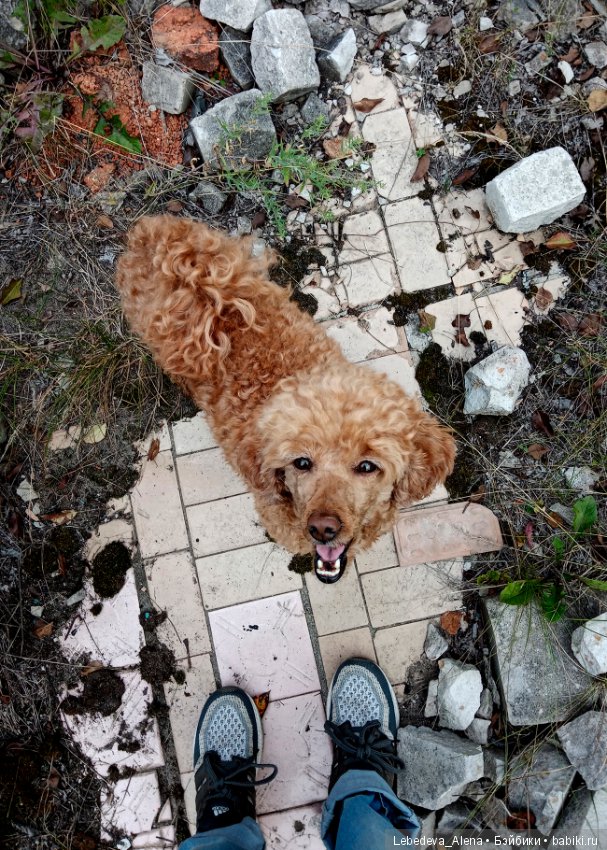 Любите ли вы заброшки — Болталка и разговоры обо всем: жизнь (фото 8)