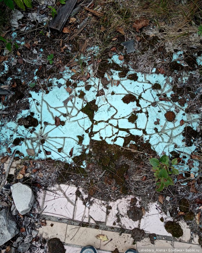 Любите ли вы заброшки — Болталка и разговоры обо всем: жизнь (фото 4)