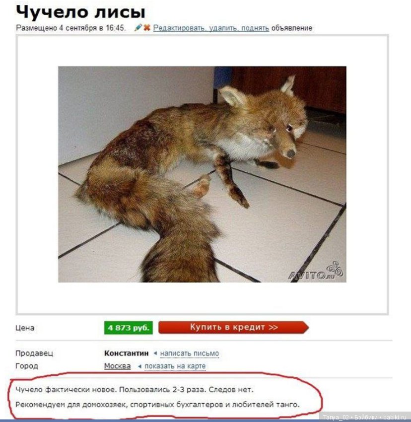 Куда же без Авито — Интересное обо всем: поздравления (фото 2)