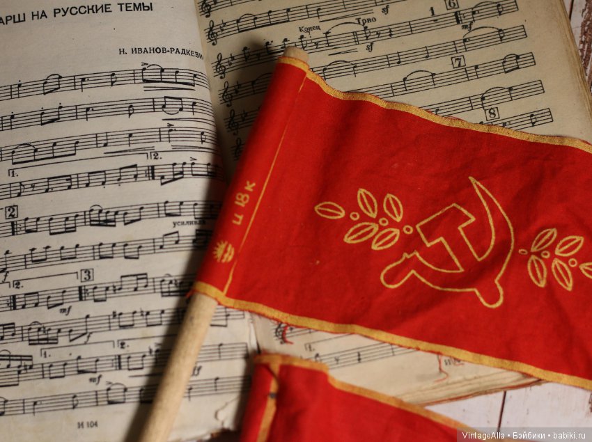 А помнишь, тебя взяли на демонстрацию (фото 6)