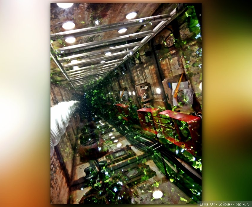 Аптекарский огород (Москва) теперь вот и моими глазами