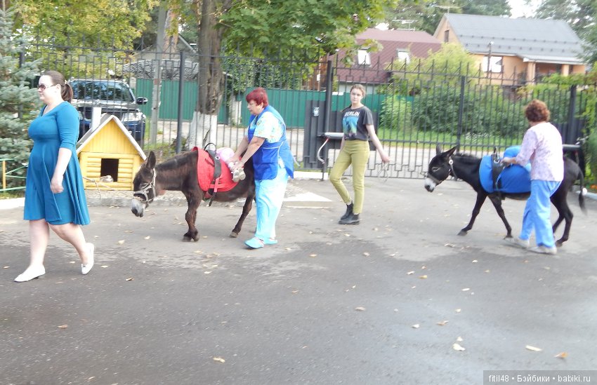 Лечебная верховая езда — Интересное и необычное: фотоподборки