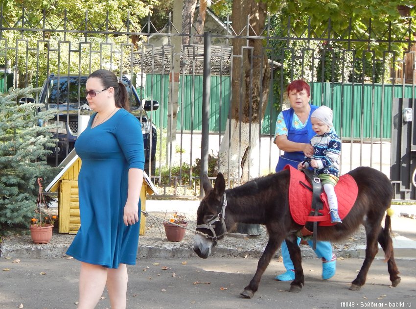 Лечебная верховая езда — Интересное и необычное: фотоподборки