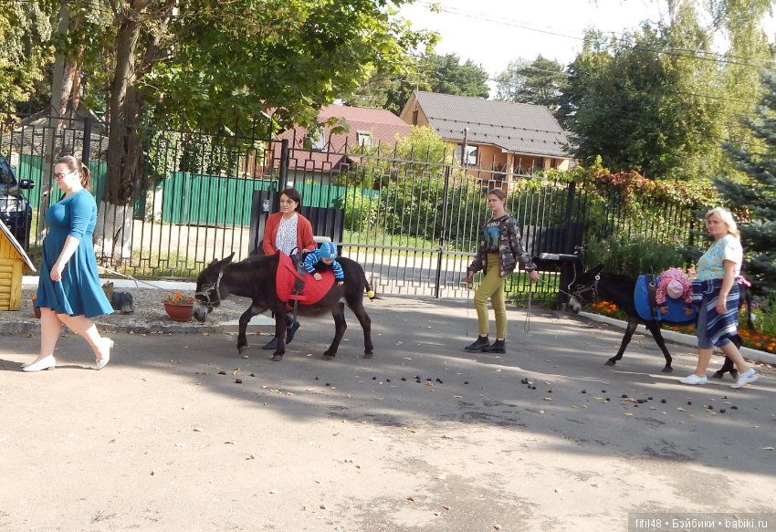 Лечебная верховая езда — Интересное и необычное: фотоподборки