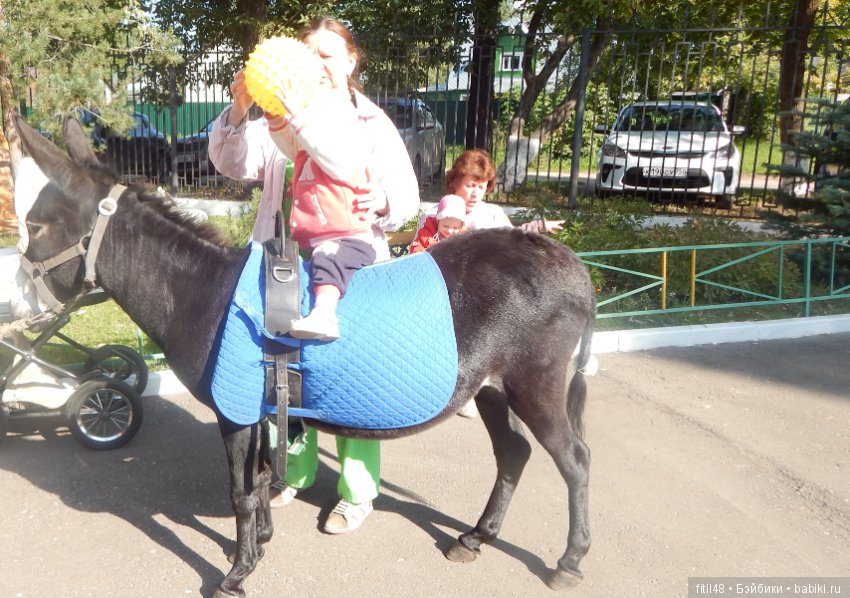 Лечебная верховая езда — Интересное и необычное: фотоподборки