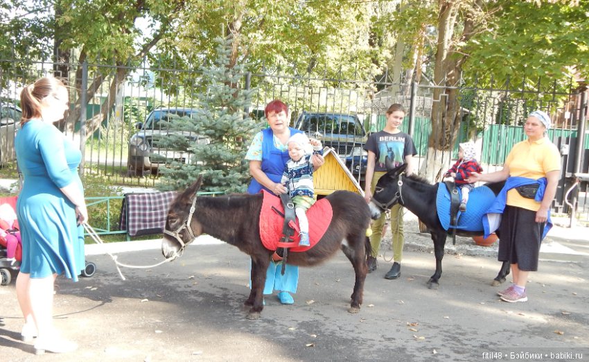 Лечебная верховая езда — Интересное и необычное: фотоподборки