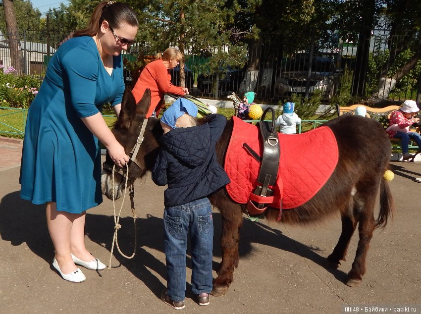 Лечебная верховая езда — Интересное и необычное: фотоподборки