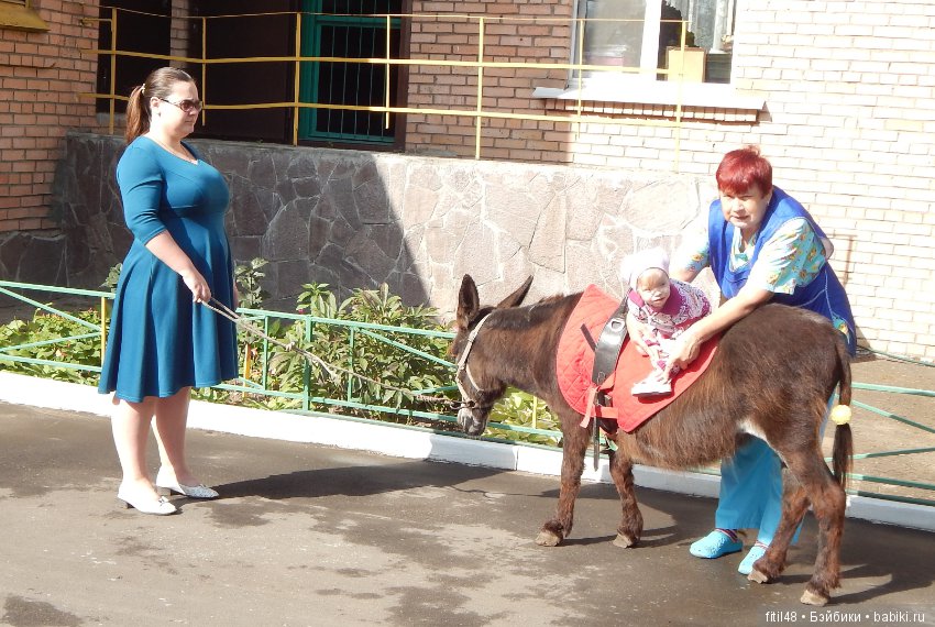 Лечебная верховая езда — Интересное и необычное: фотоподборки