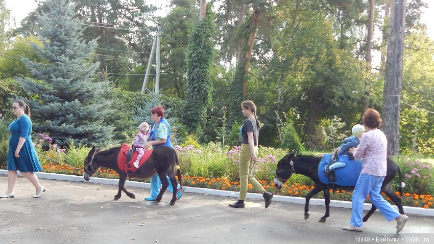 Лечебная верховая езда — Интересное и необычное: фотоподборки (фото 7)