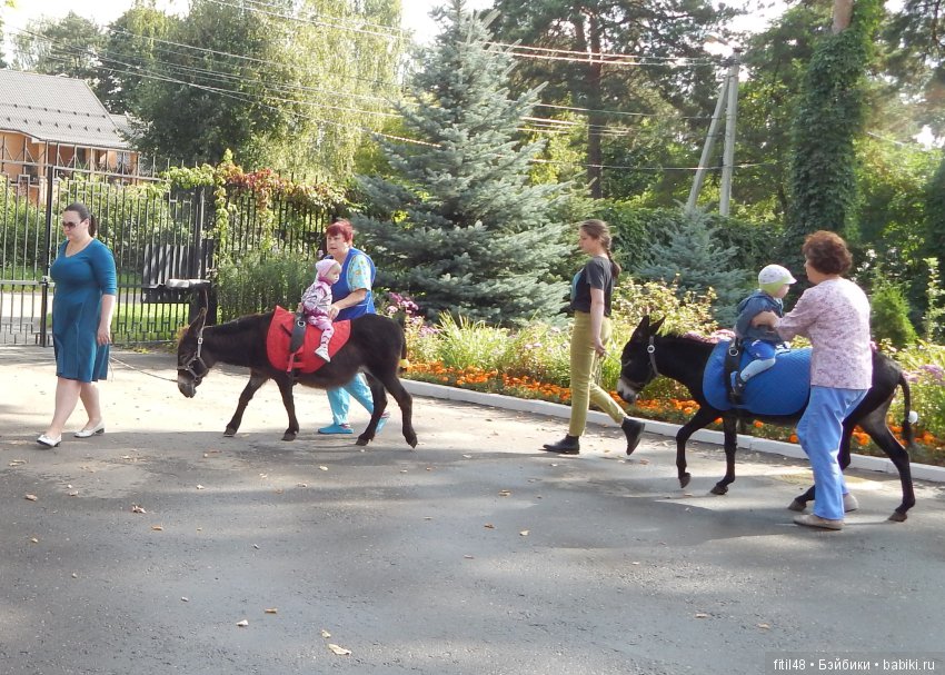 Лечебная верховая езда — Интересное и необычное: фотоподборки (фото 4)