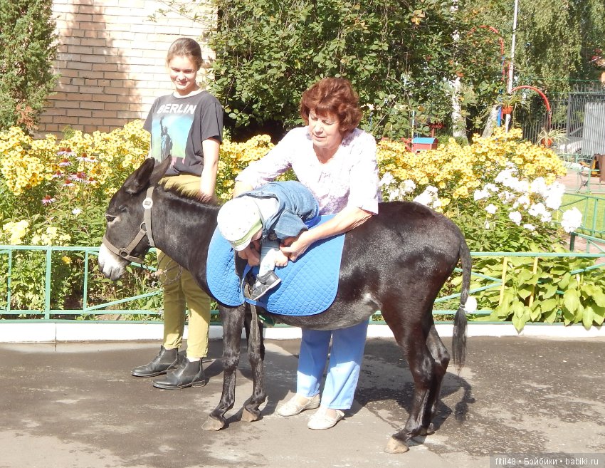 Лечебная верховая езда — Интересное и необычное: фотоподборки