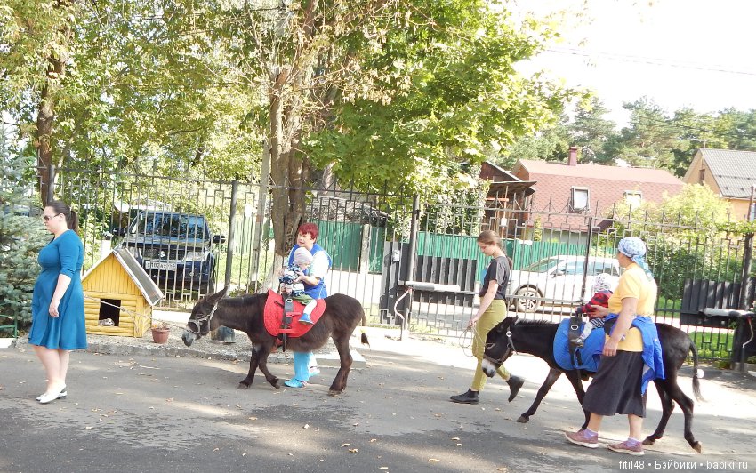 Лечебная верховая езда — Интересное и необычное: фотоподборки