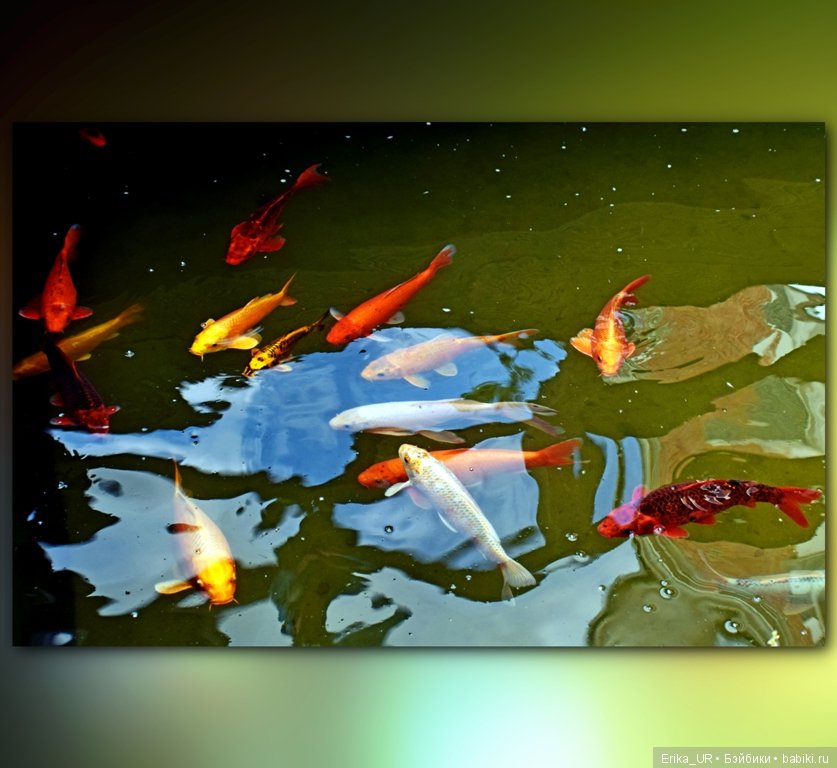 Аптекарский огород (Москва) теперь вот и моими глазами