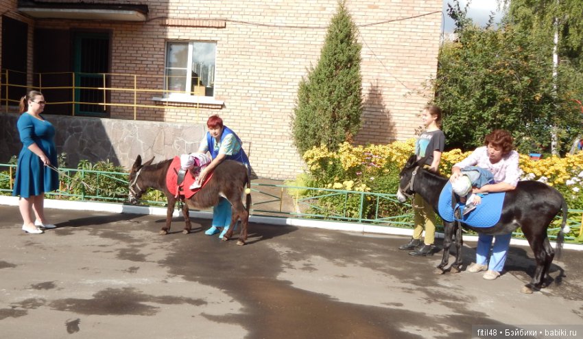 Лечебная верховая езда — Интересное и необычное: фотоподборки