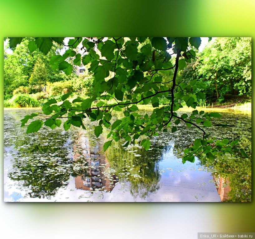 Аптекарский огород (Москва) теперь вот и моими глазами