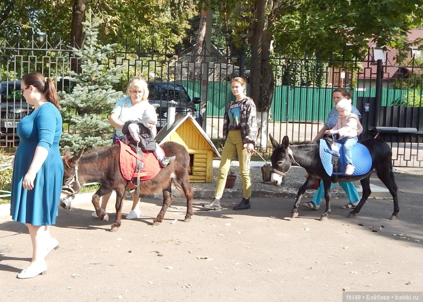 Лечебная верховая езда — Интересное и необычное: фотоподборки